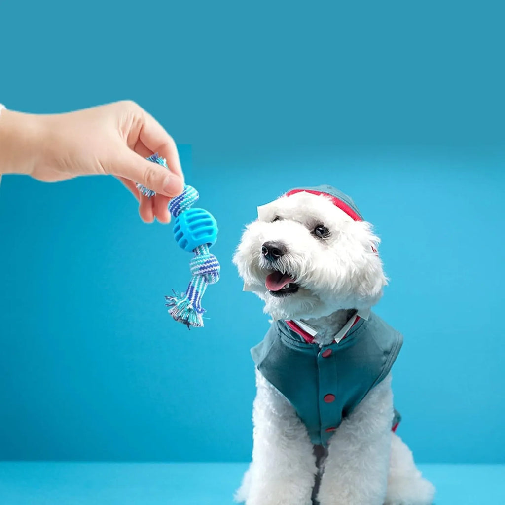 Blue dog chew toy with rope handles and textured surfaces for dental cleaning