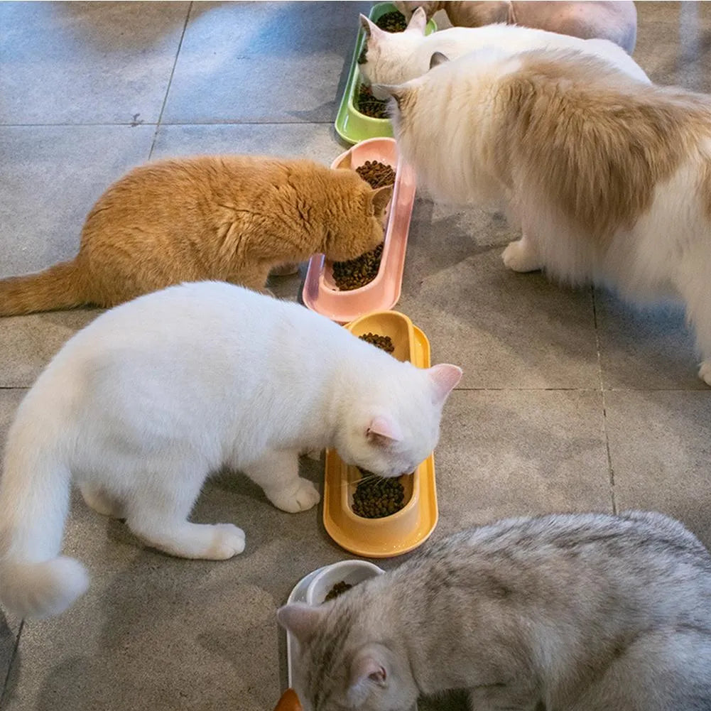 Four-compartment leakproof pet feeder bowl in pink colour for dogs and cats