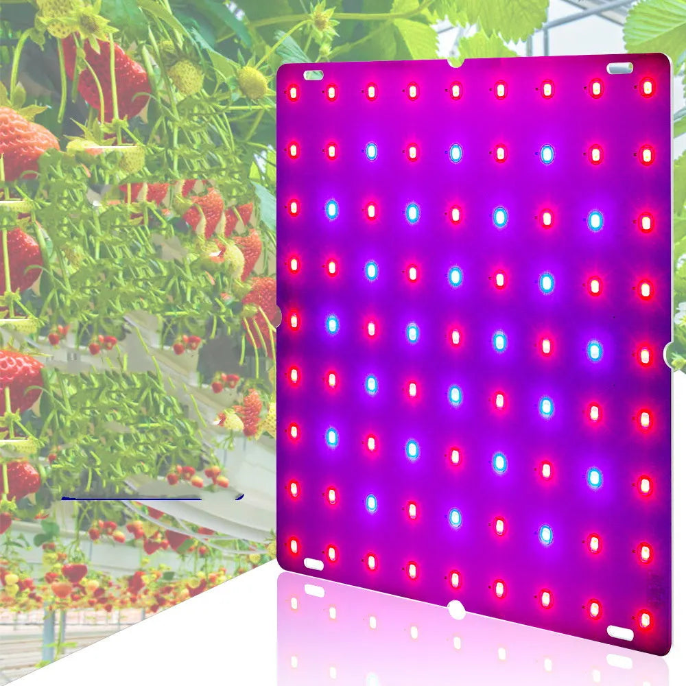 Hanging LED plant grow light with aluminium housing for fruits and vegetables.