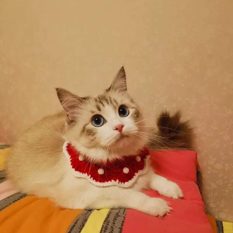 Cartoon pattern wool knitted collar scarf for a cat or small dog