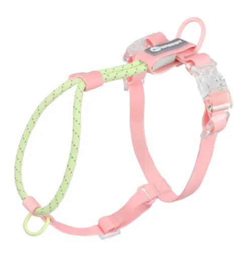 Solid colour PVC dog hand holding rope leash in dark red purple yellow on a green background.