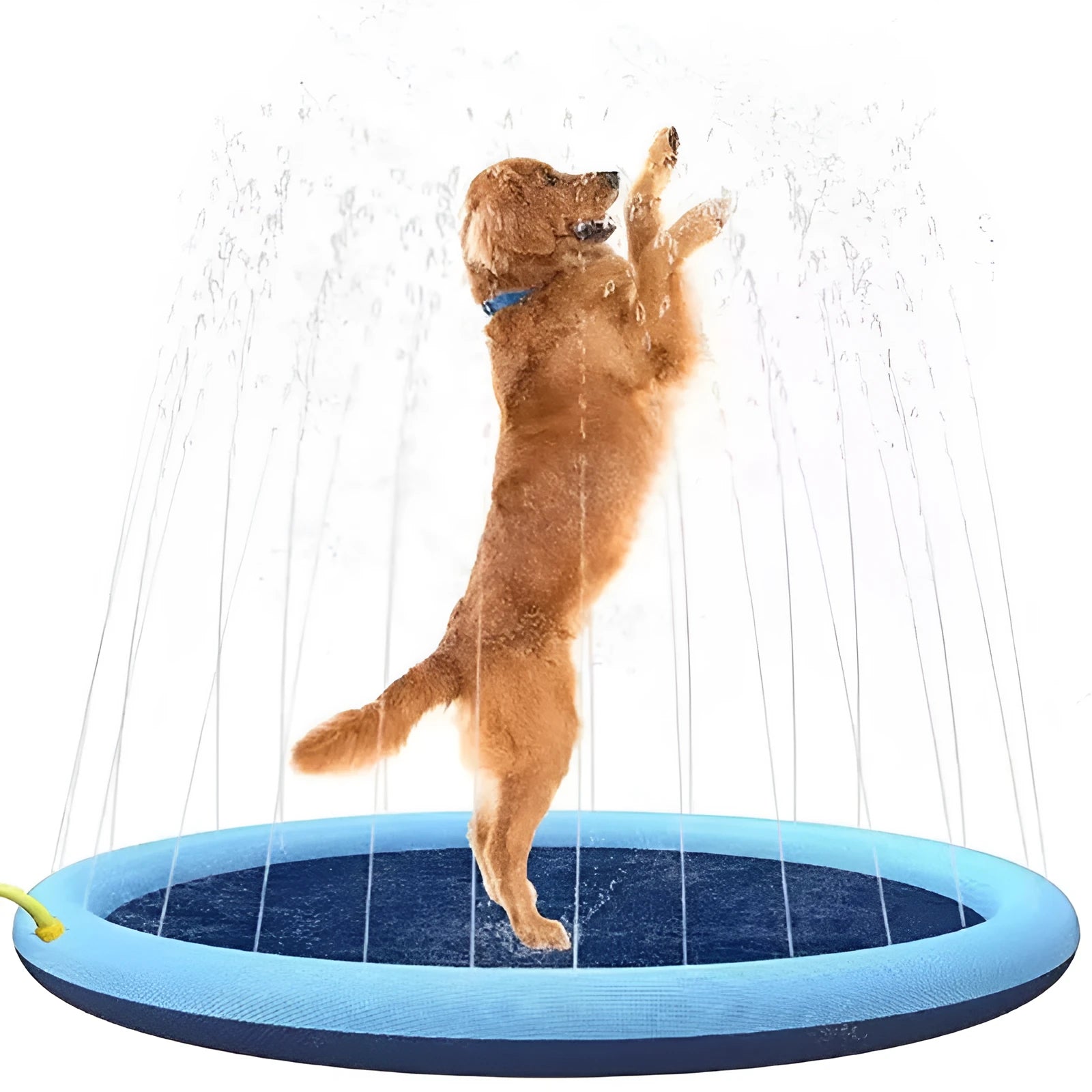 Large blue PVC dog splash pad with anti-slip texture for outdoor water play.