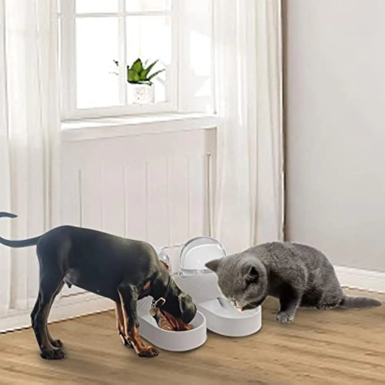 White automatic gravity cat feeder and water dispenser set with wave-shaped design.