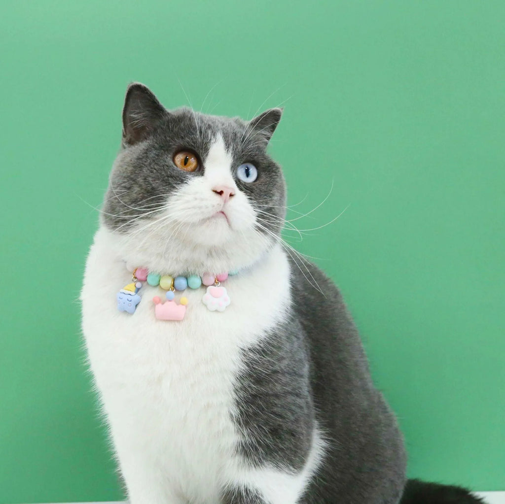 Macaron-themed resin charm collar and bracelet set for cats or dogs in assorted colours