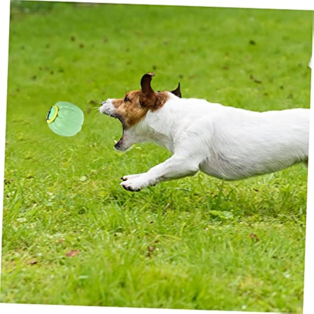 Green, orange, and yellow plastic pumpkin-shaped dog chew toy with squeaker for small dogs.