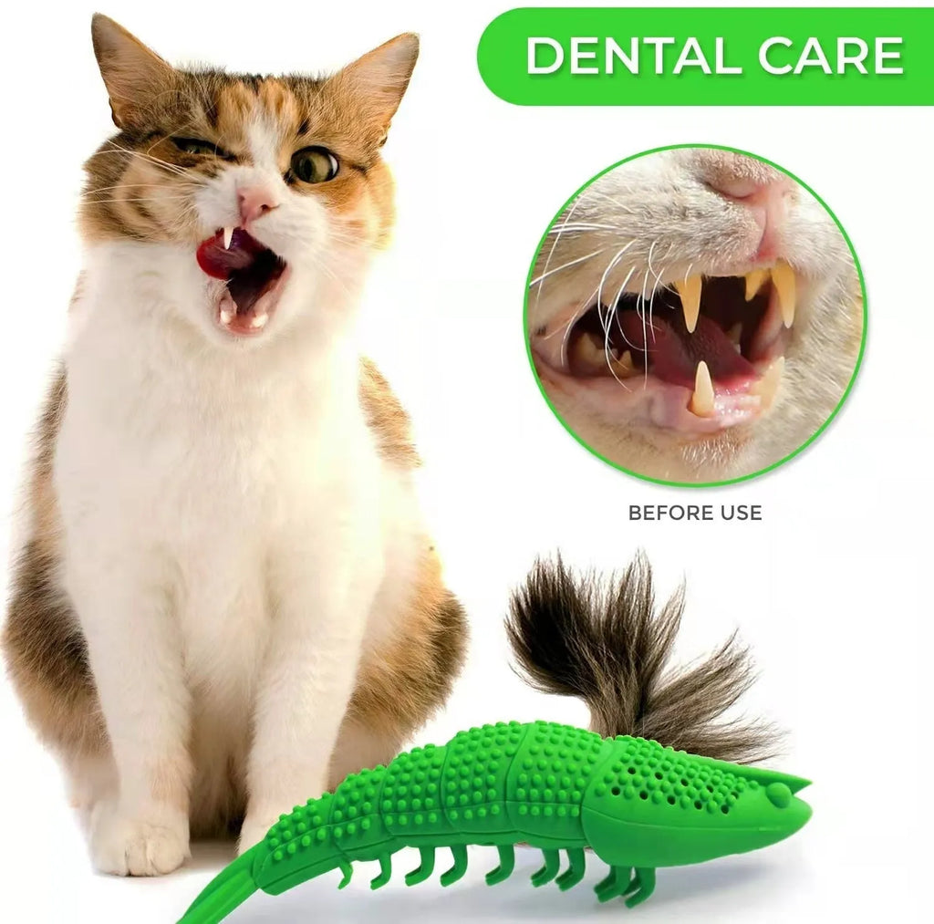 Blue hard rubber catnip chew toy with dental cleaning texture and interactive bell