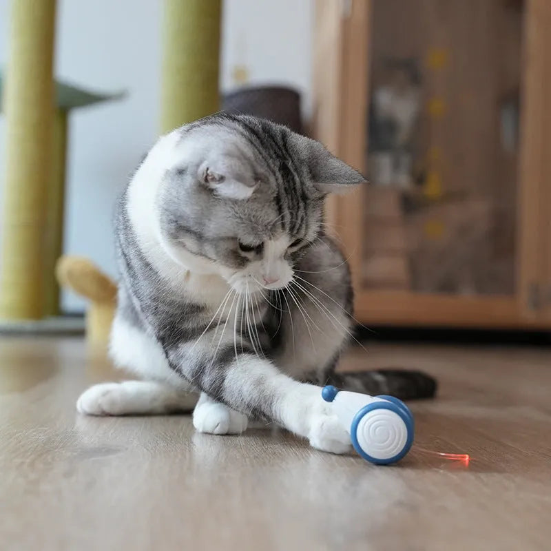Automatic electric mouse cat toy in blue or yellow, 60x50x36mm, with USB cable and ABS TPU PVC body