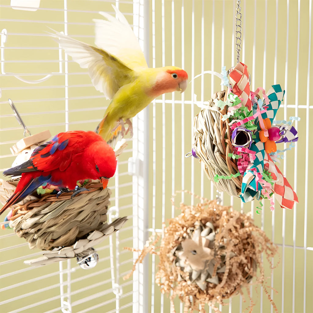 Three parrot gnawing toys of different weights for beak health and cage enrichment
