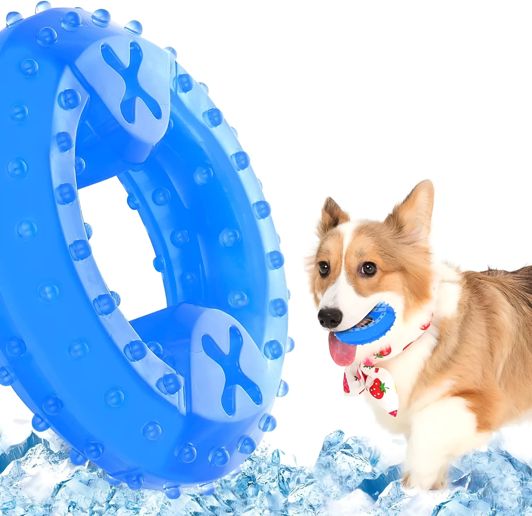 Freezable dog teething toy in bone and circle shapes for cooling chew and dental care