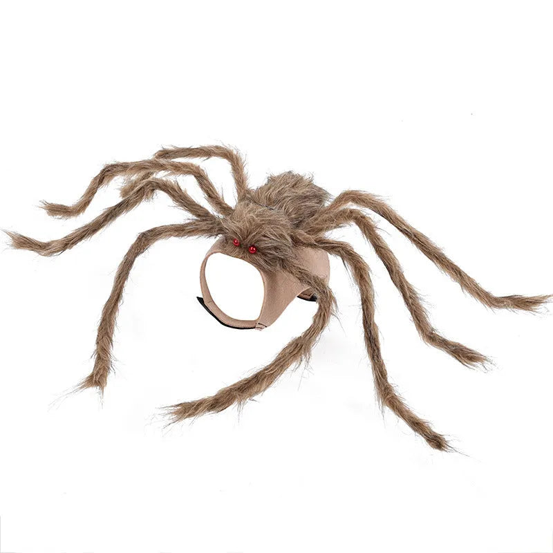 Halloween spider costume for pets in four colour options with three size choices