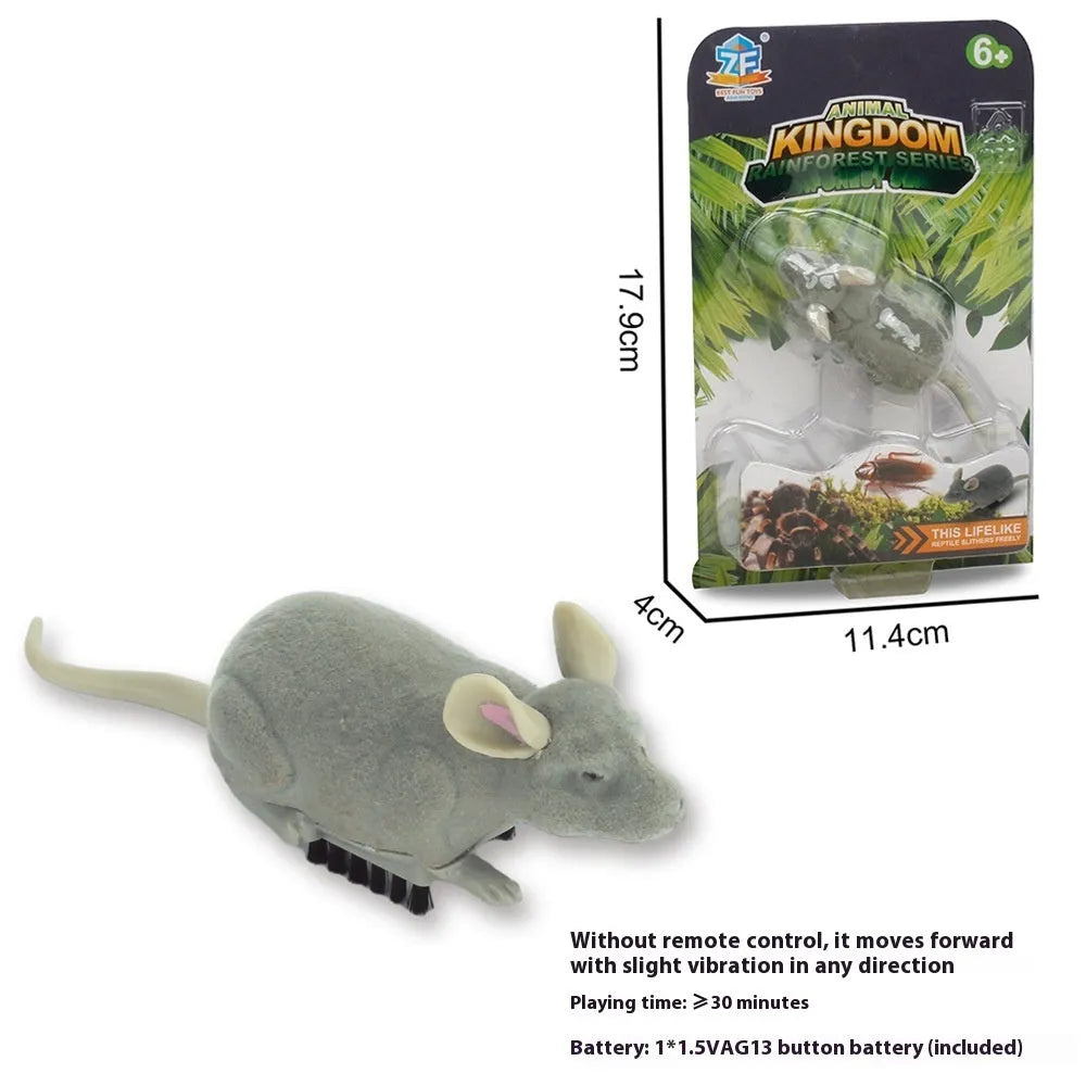 Electric vibration pet toy in choice of cockroach, tarantula, mouse, or dragonfly design.