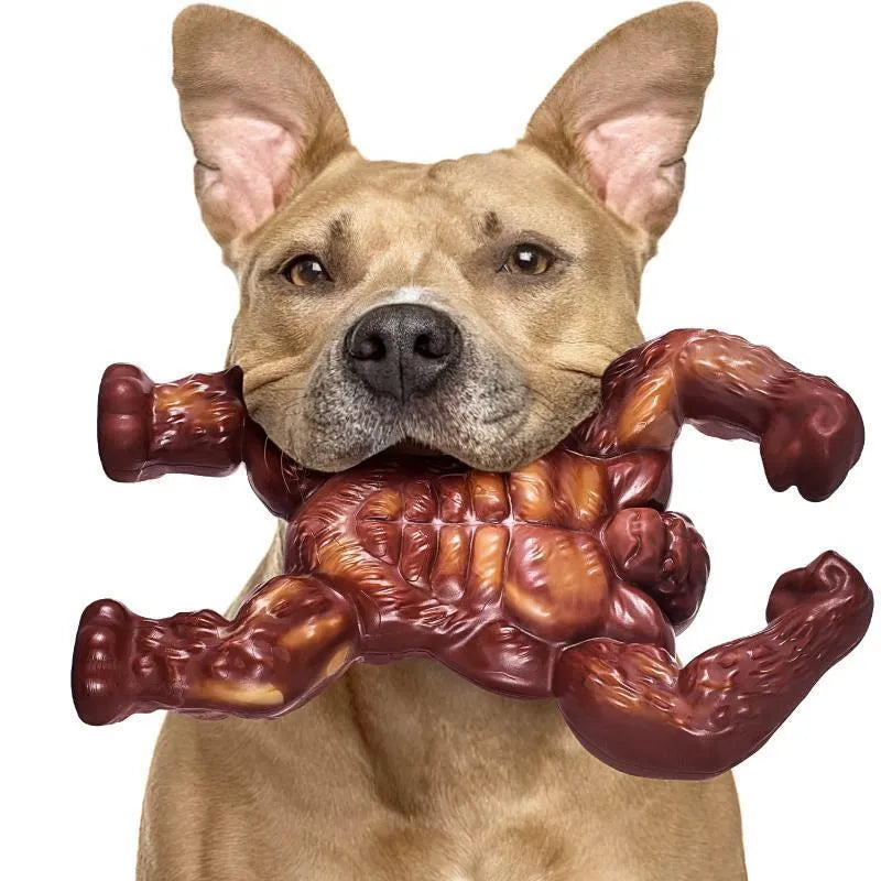 Scarlet nylon dog chew toy with beef flavour scent, measuring 10.7x17.2x5 cm for medium and large breeds