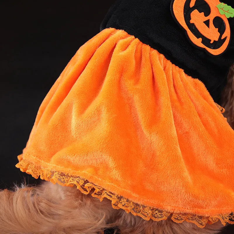 Crystal velvet pet Halloween costume showing pumpkin skirt and sweater options for small dogs and cats