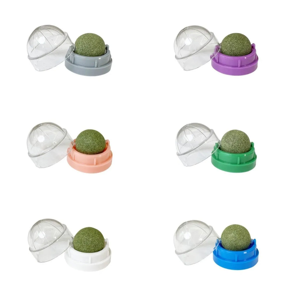 A plastic catnip chew ball toy for dental cleaning, shown in assorted colours including pink, blue, and green.