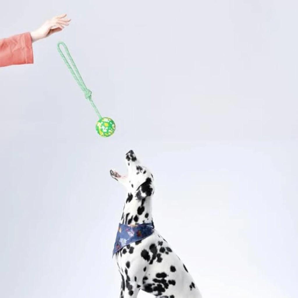 Natural rubber dog ball attached to a blue nylon rope, shown in two sizes L and S for interactive play.