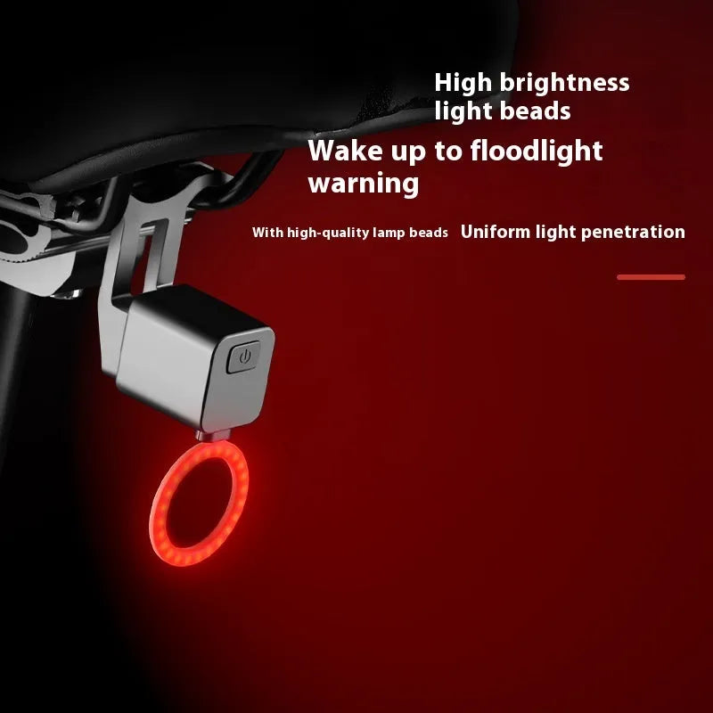 Bicycle taillight with running water LED light pattern mounted on a bike seat tube