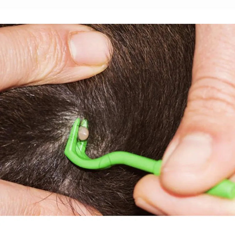 Three plastic pet tick removal clip tools with hook comb, shown in blue or green colour options.