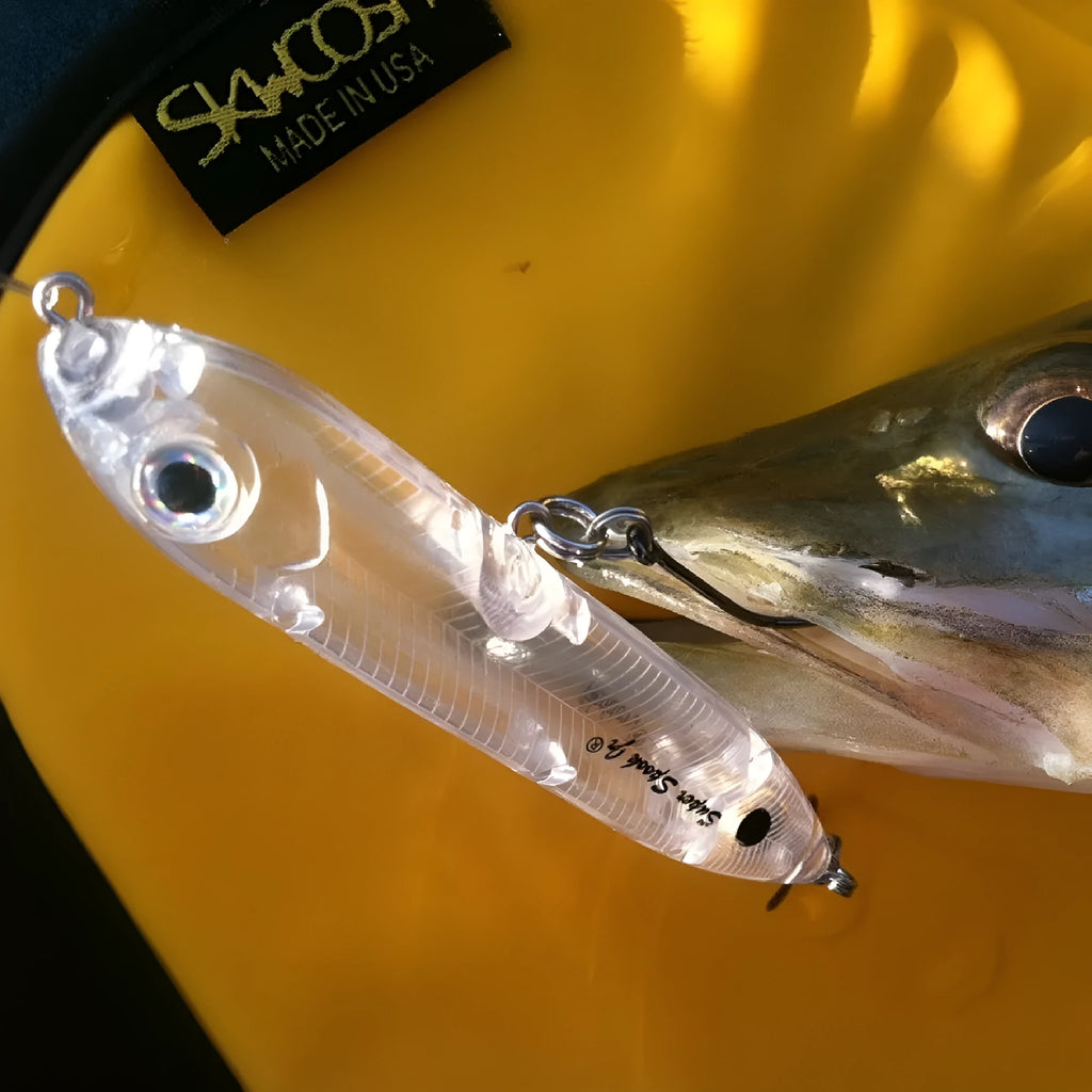 Transparent 9.5cm DIY fishing lure blank body with 7mm fish eye for custom finishing