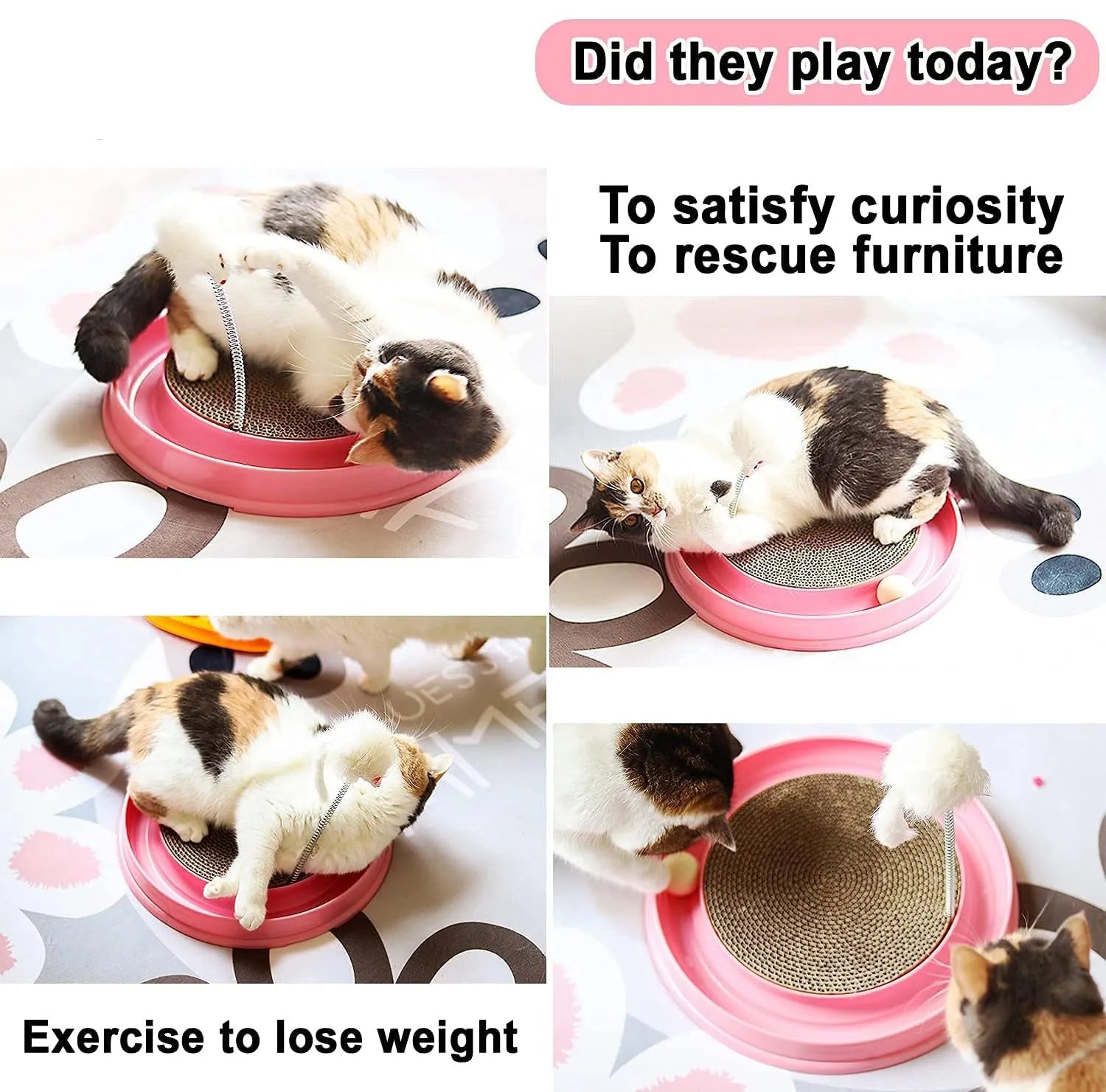 Blue cat scratcher toy with circular ball track and replaceable corrugated cardboard scratching pad
