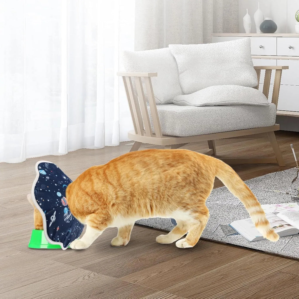 Soft adjustable cat cone collar in constellation print, showing adjustable circular fastener and soft fabric construction.