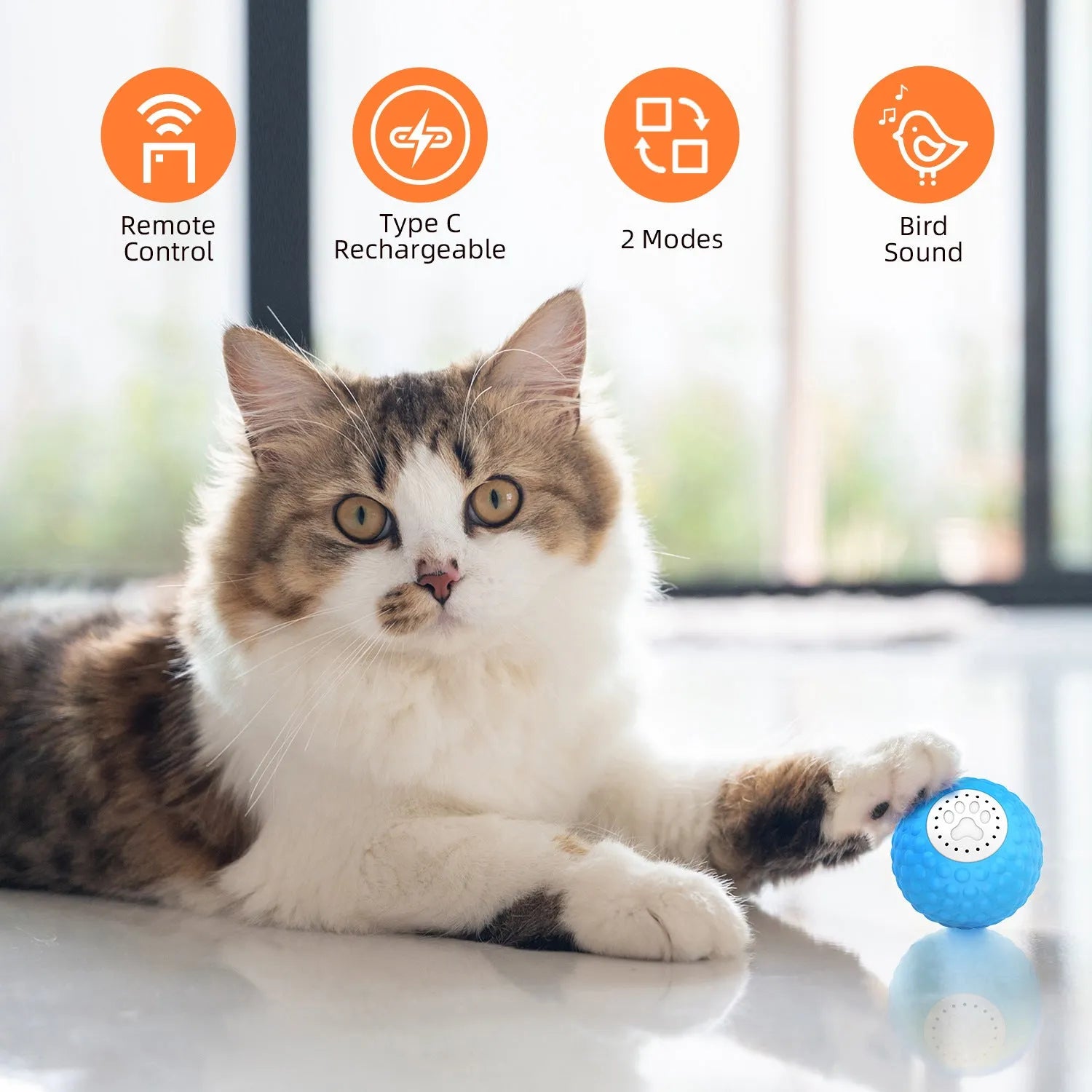 Smart remote control cat ball toy in blue, green or yellow colours with rolling motion and sound features