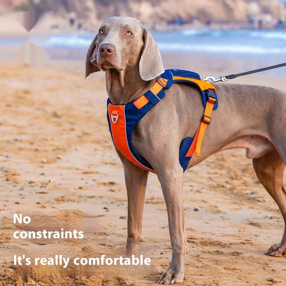 Orange blue nylon dog chest strap vest harness with hand rope attachment shown in S size