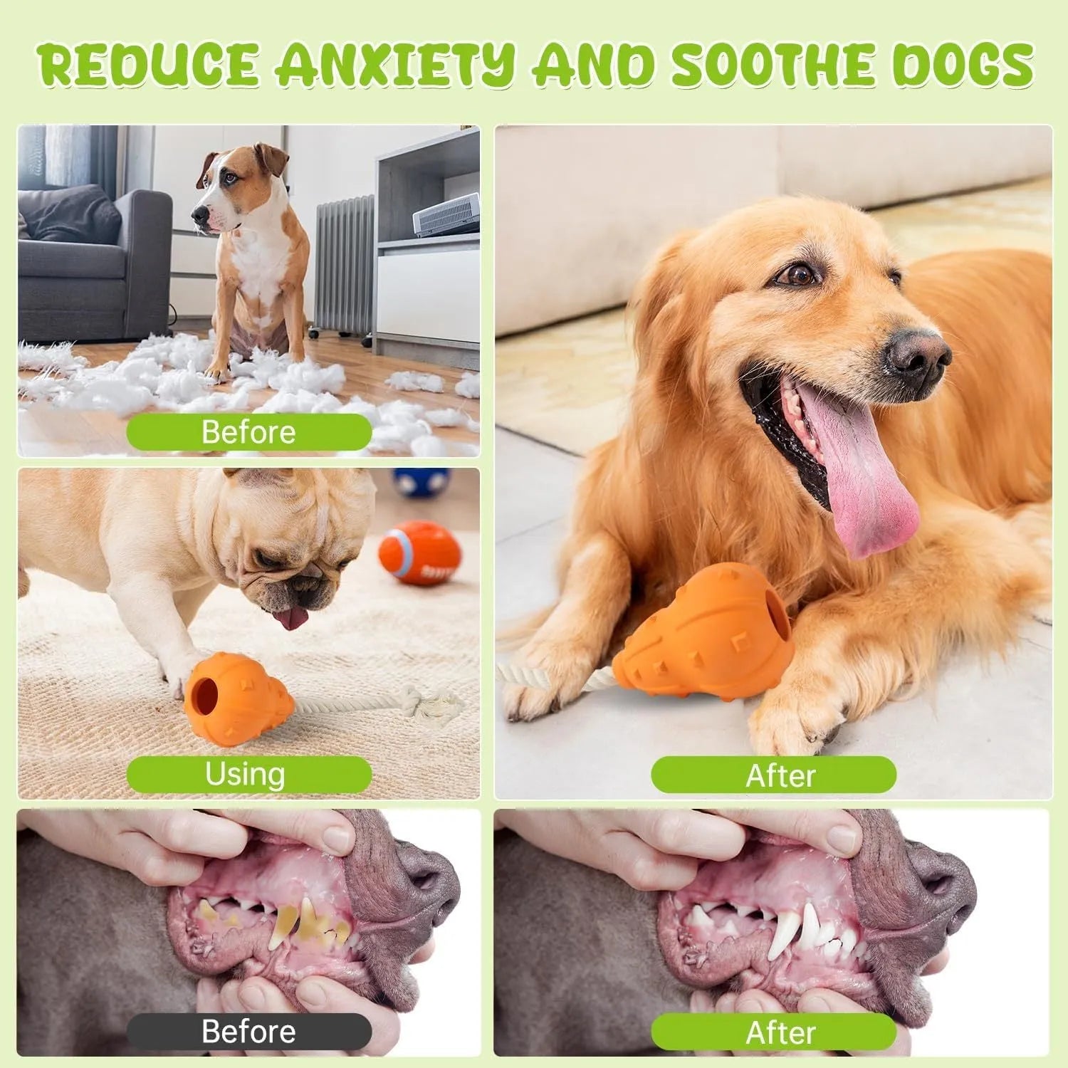 Natural rubber stuffable dog toy for small medium breeds on a green background