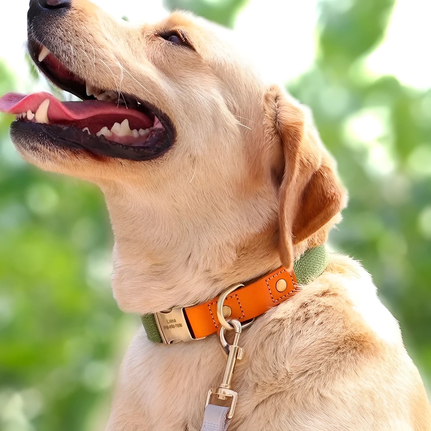 Small dog collar and matching traction rope made from soft mohair in six colour options.