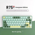 Wireless mechanical keyboard with RGB lighting and hot-swappable key switches