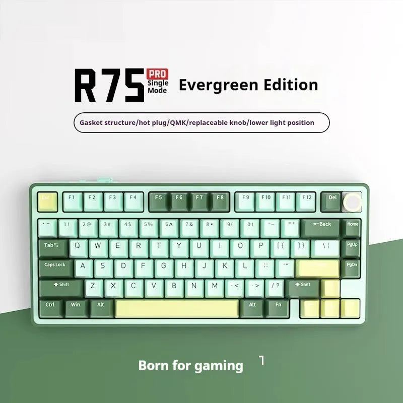 Wireless mechanical keyboard with RGB lighting and hot-swappable key switches
