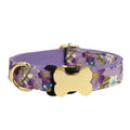 Nylon dog collar with bone buckle and printed grid design in multiple colour options