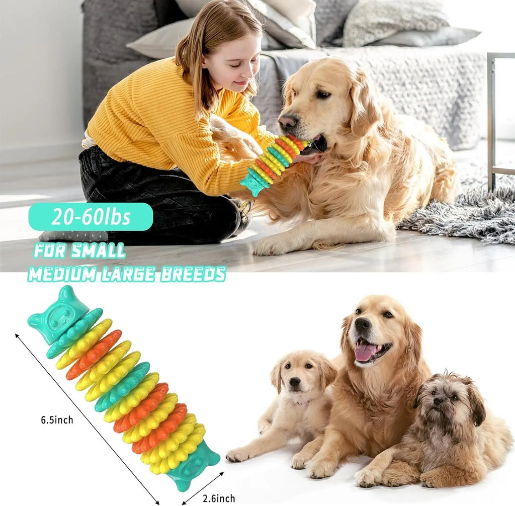 Blue caterpillar-shaped rubber dog chew toy for aggressive chewers, shown with textured surface.