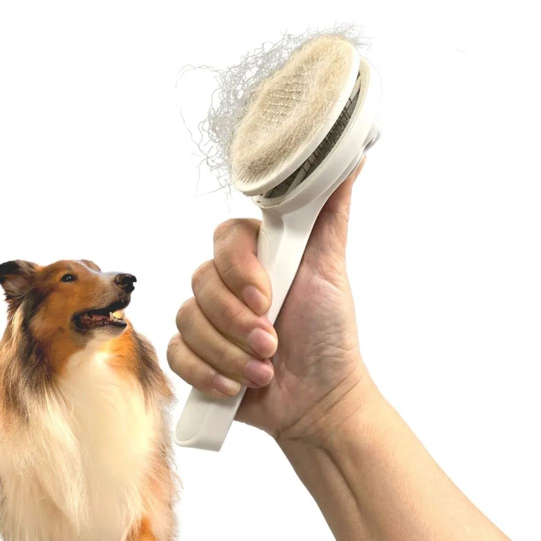 Blue self-cleaning slicker brush for pet grooming with ergonomic rubber handle.