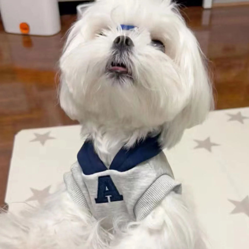 Blue and grey white pet hoodie with reflective letters, slim-fitting design for cats and dogs