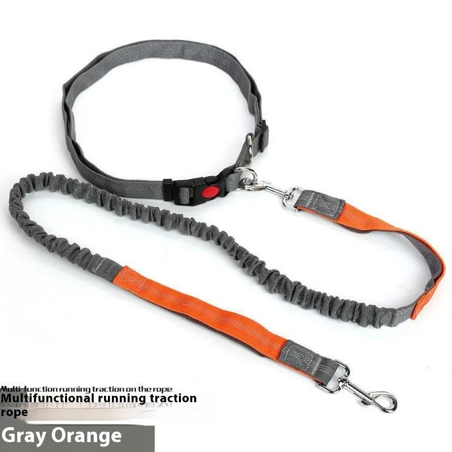 Grey and green reflective nylon dog leash with elastic section, shown at 2.5cm width.