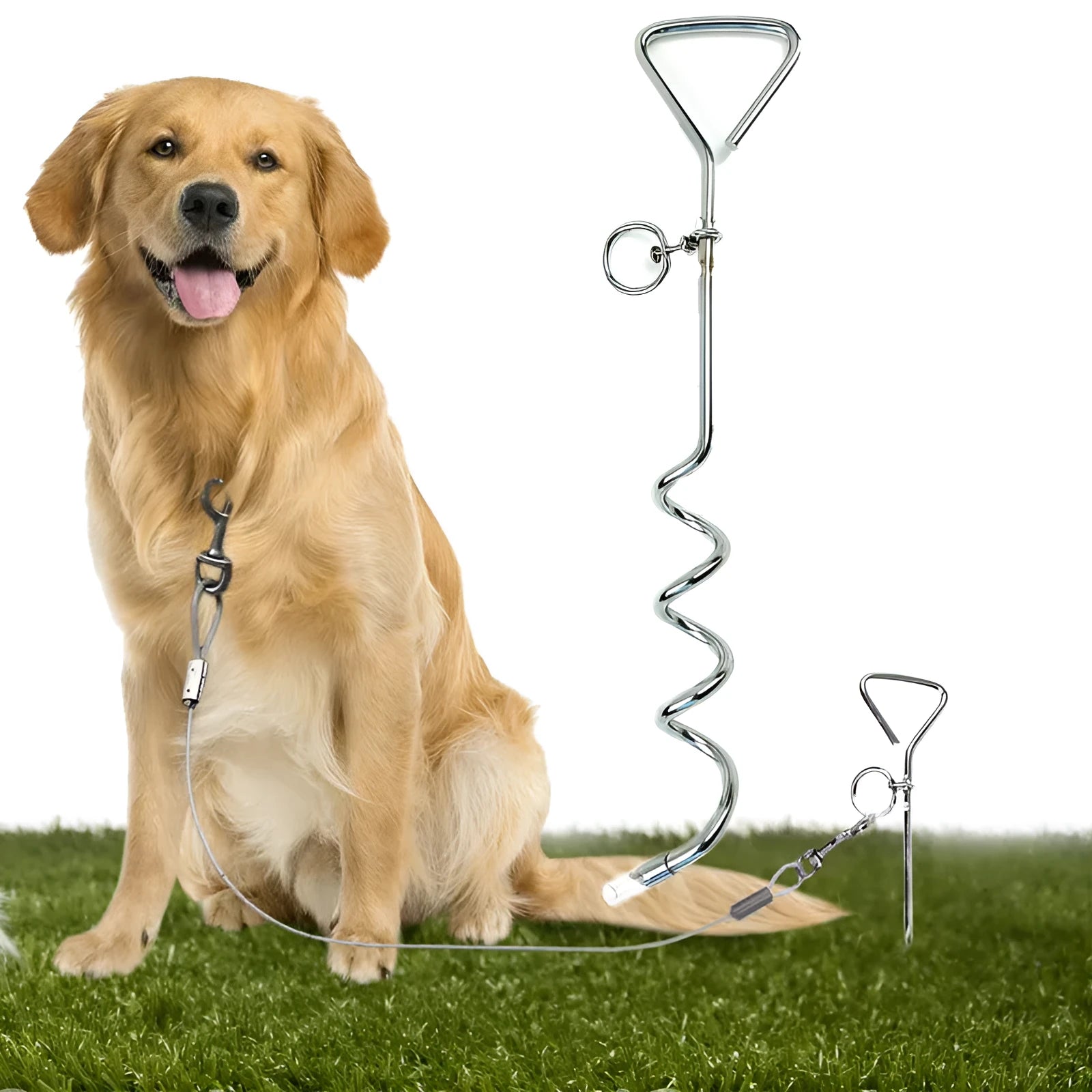 Silver spiral dog tie out stake made of solid steel for secure ground anchoring