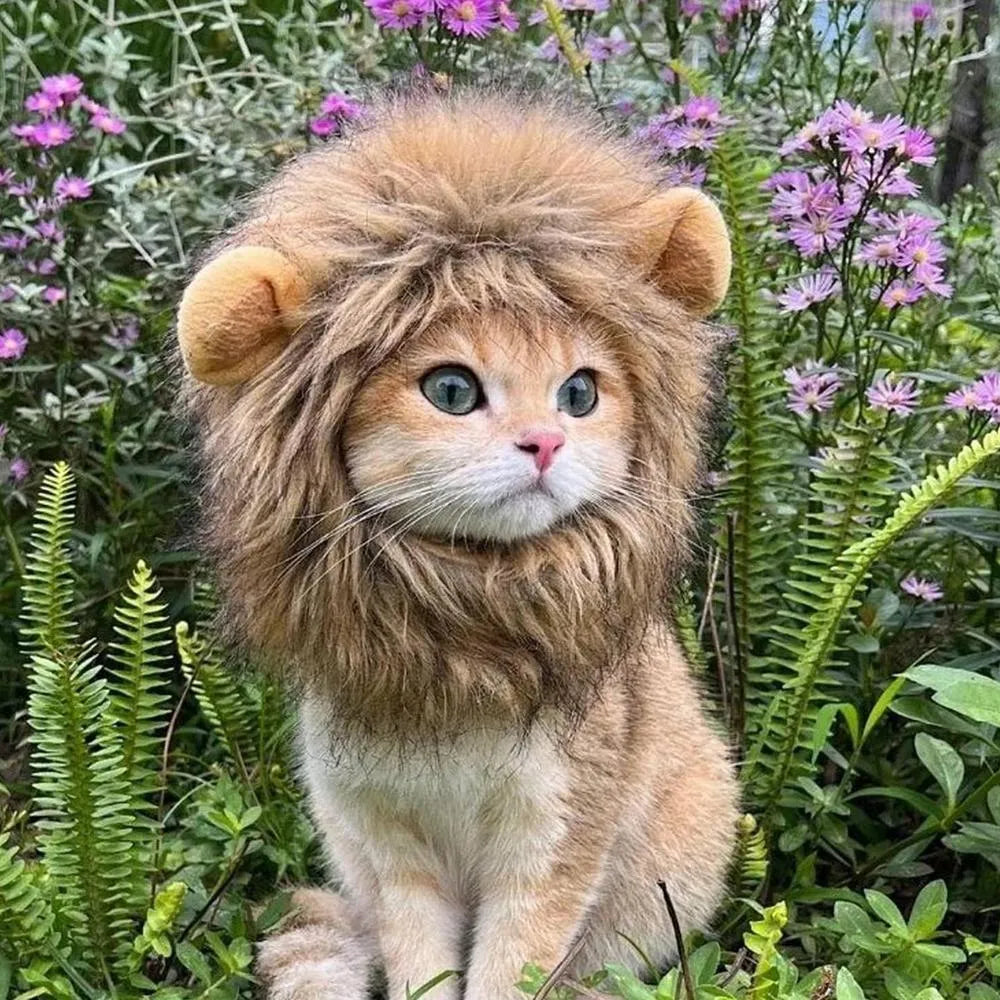 Lion mane wig with plush ears on a cat, showing adjustable elastic band