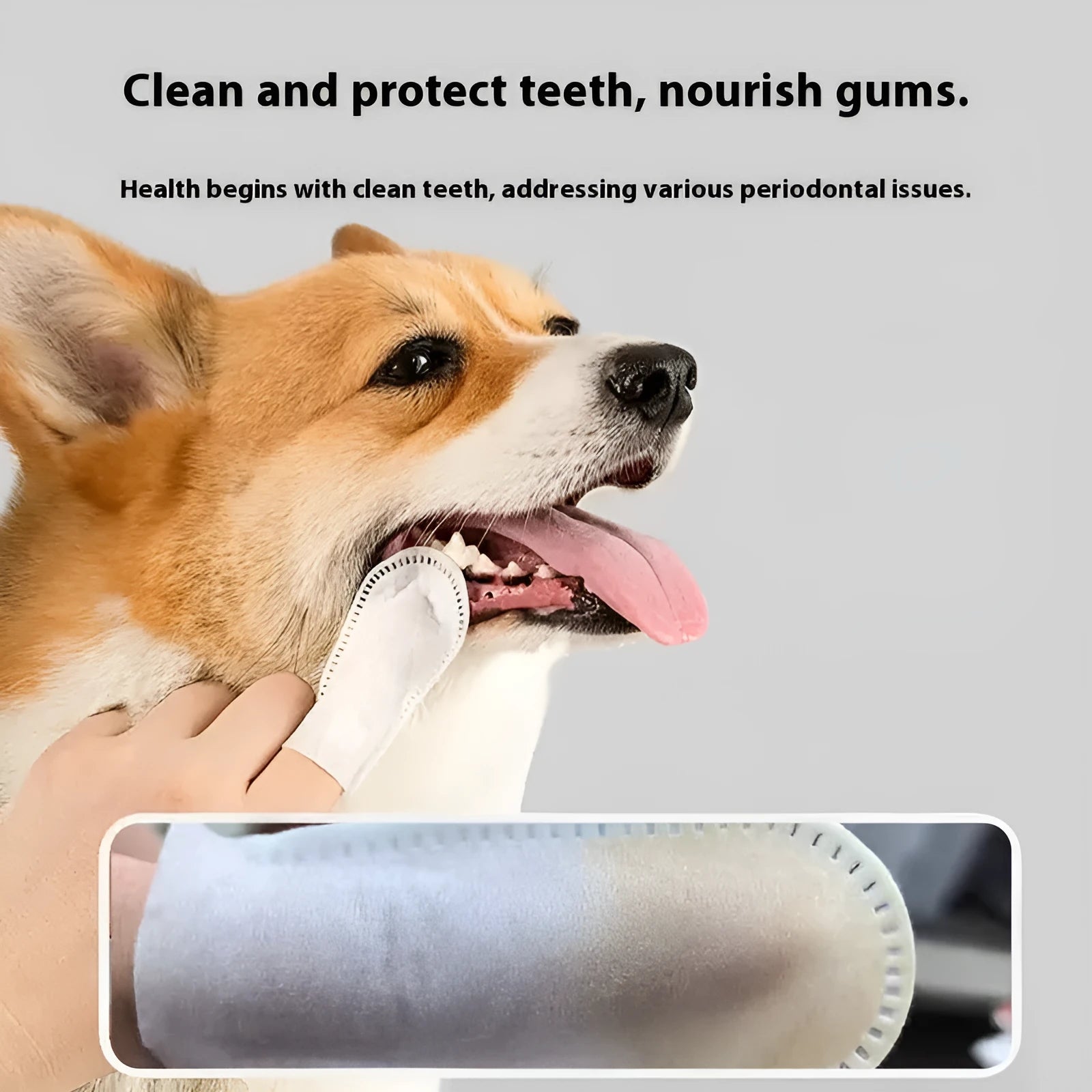 50-piece pack of pet dental finger cots for cat and dog teeth cleaning