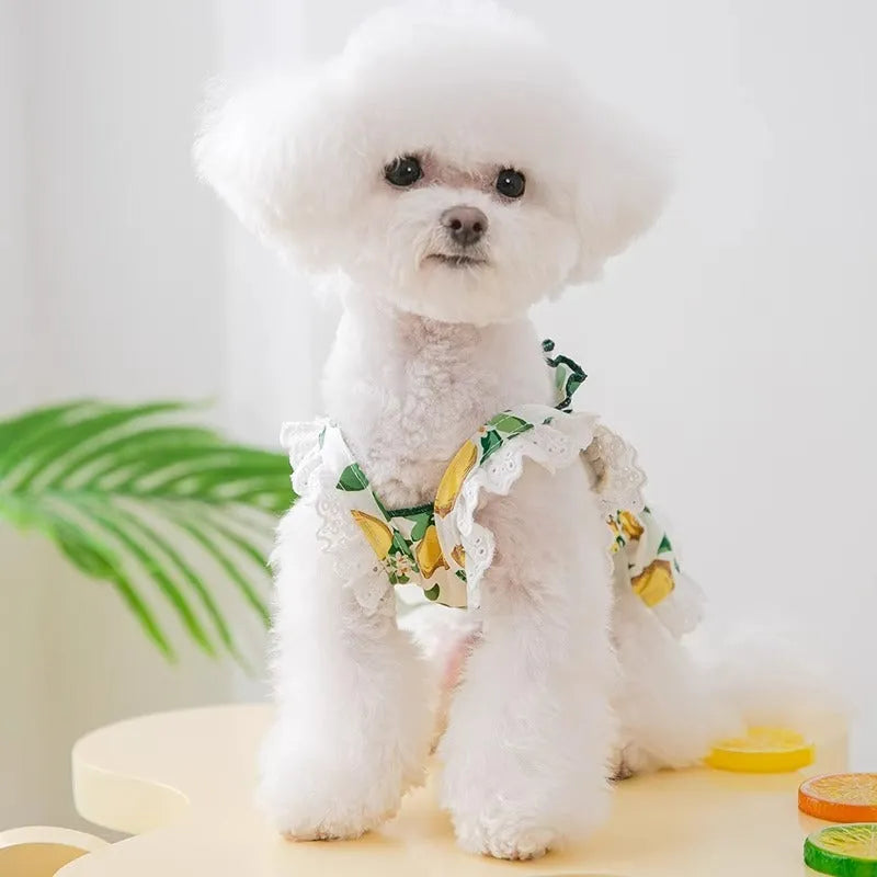 Rock Yellow Lemon thin breathable strap dog skirt for small to medium dogs on mannequin