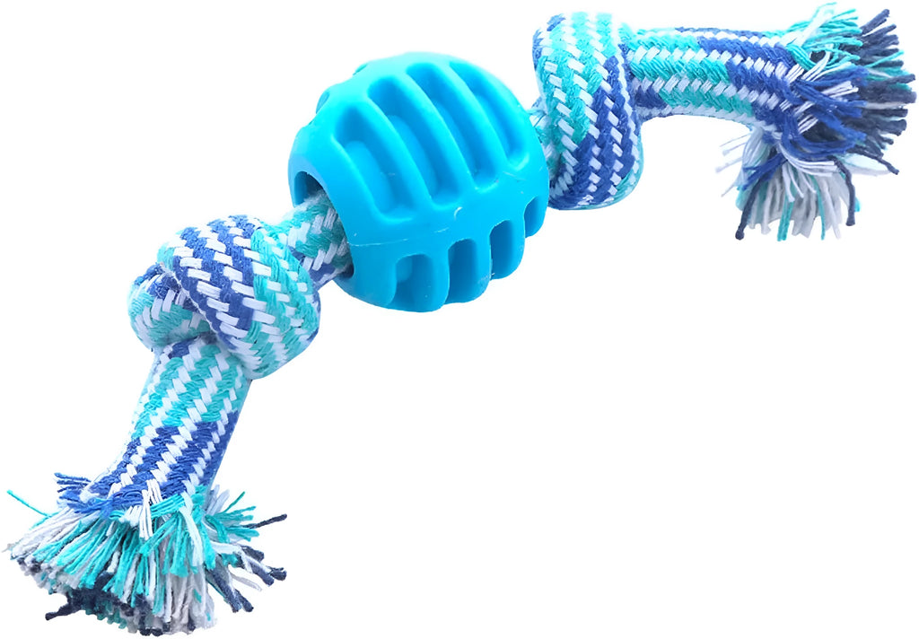 Blue dog chew toy with rope handles and textured surfaces for dental cleaning