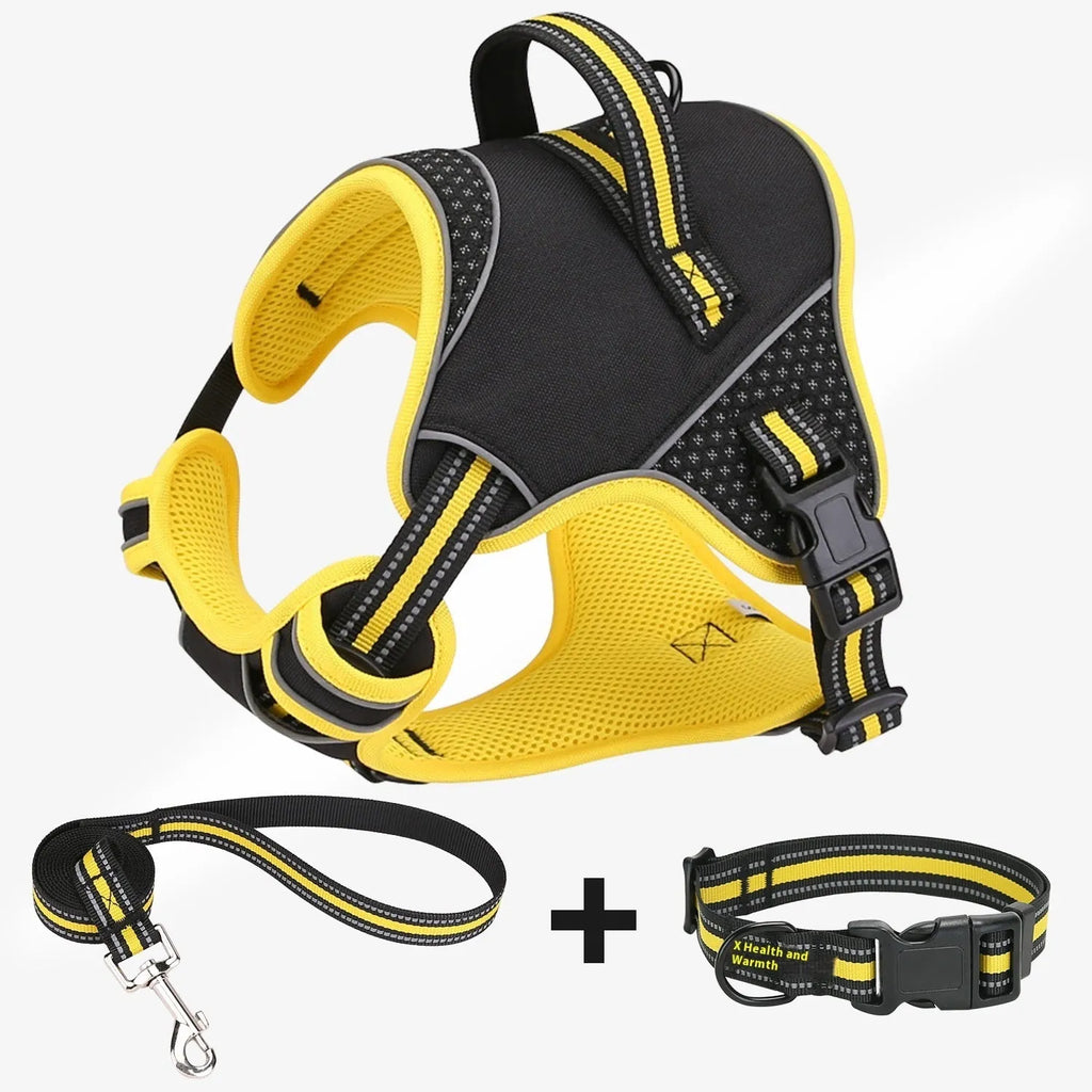 Orange polyester dog harness with traction strap adjusted on a dog for outdoor walking.