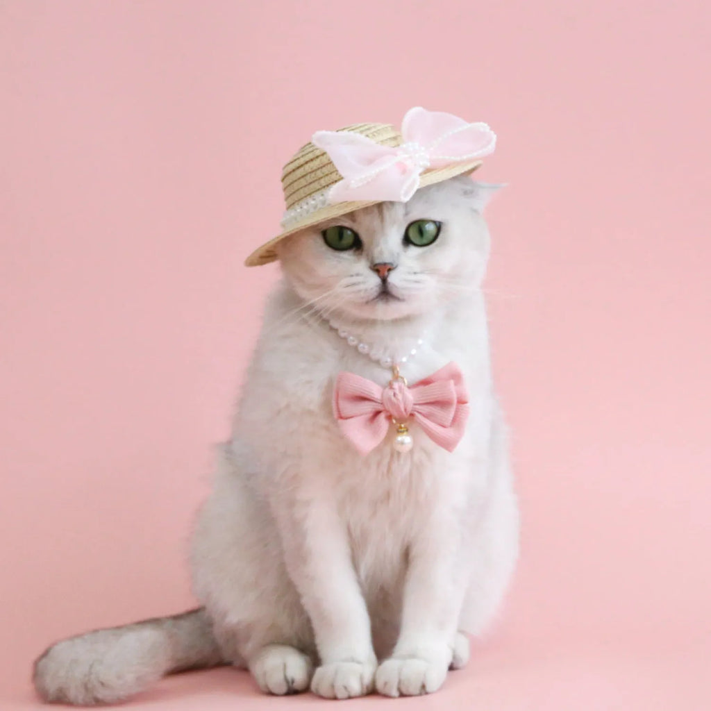 Pet cat wearing woven straw hat with pearl bow decoration in monochrome princess style