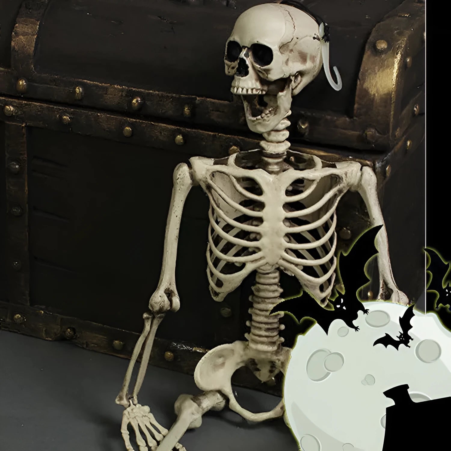 A full-size 170 cm tall plastic human skeleton prop with detailed skull, standing upright.
