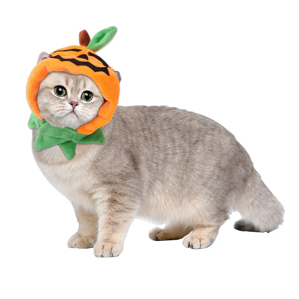 Orange plush Halloween pumpkin cloak for dog or cat costume on pet