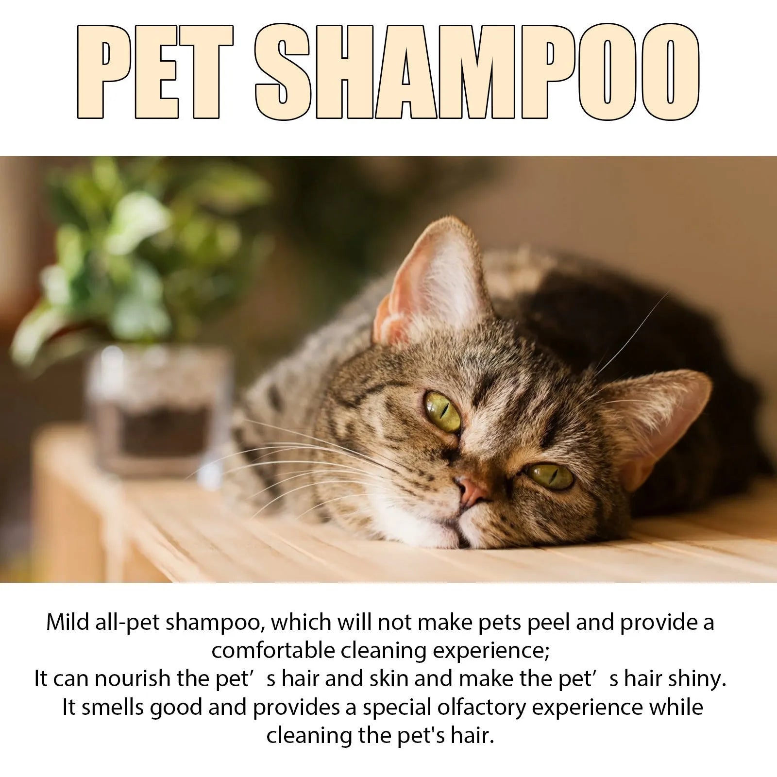 A bottle of mild pet shampoo for cats and dogs, available in 100ml and 300ml sizes.