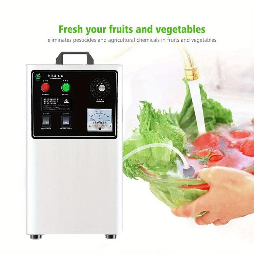 Fruit and vegetable ozone treatment machine with 20g/h output and air-cooled system in stainless steel or white finish
