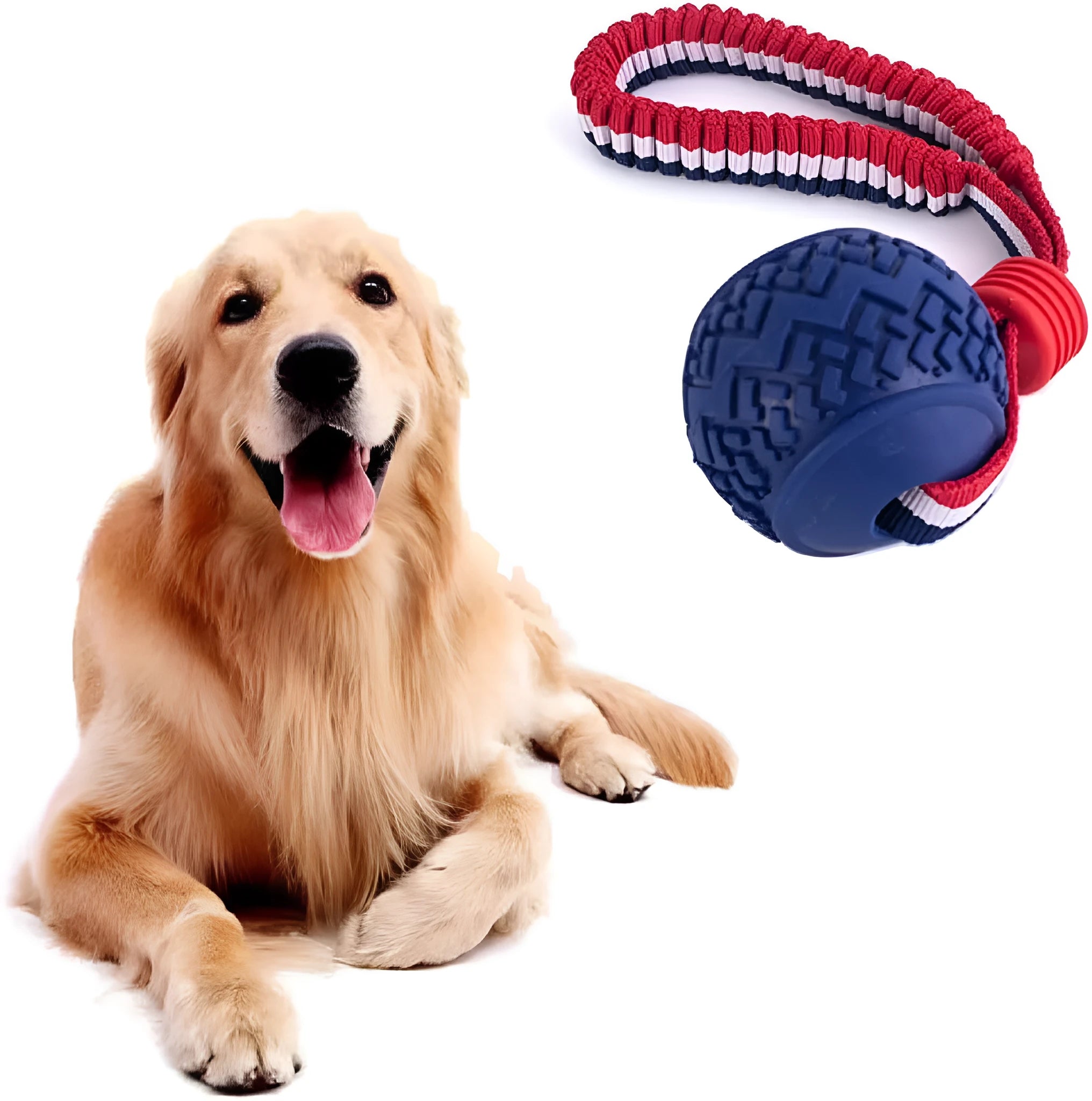 Blue rubber dog ball with attached rope toy for tug of war and dental cleaning