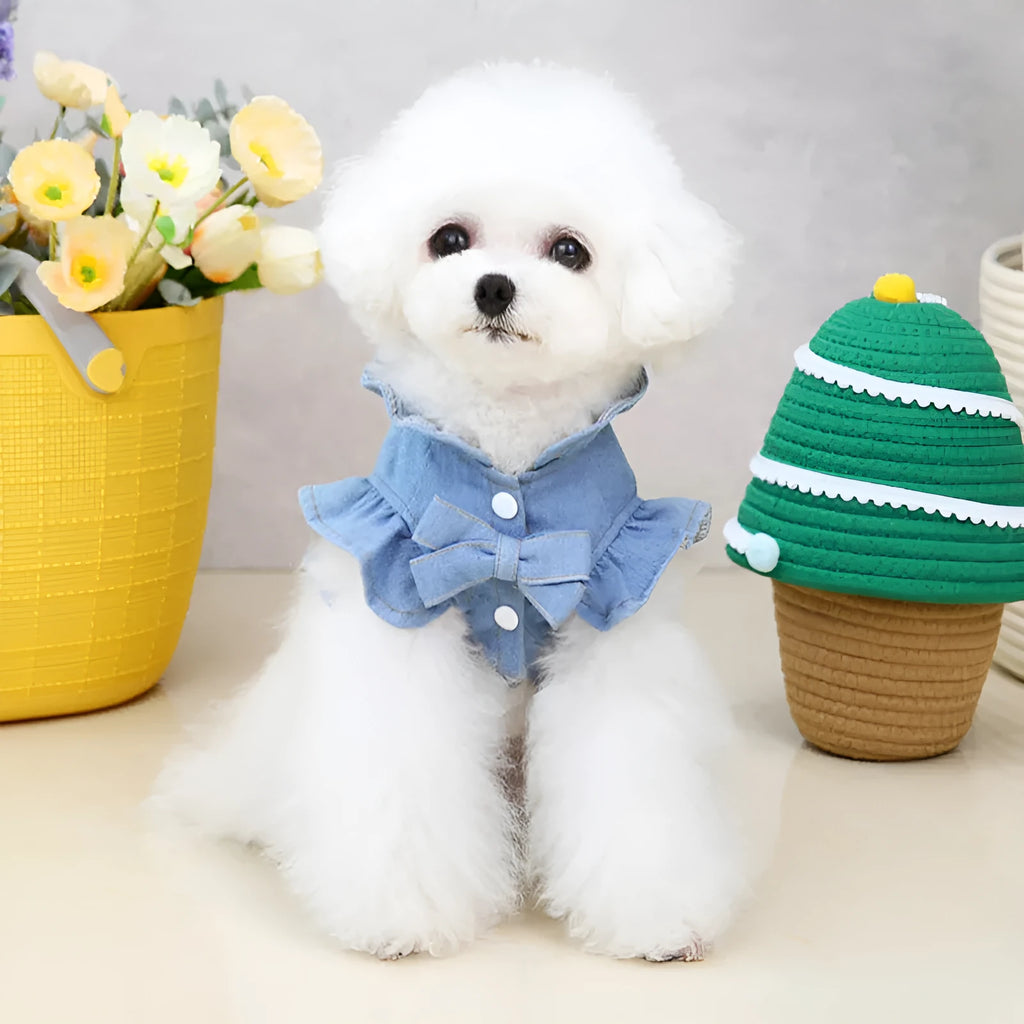 Blue denim pet dog dress with ruffle vest styling and leash hooks at chest and back