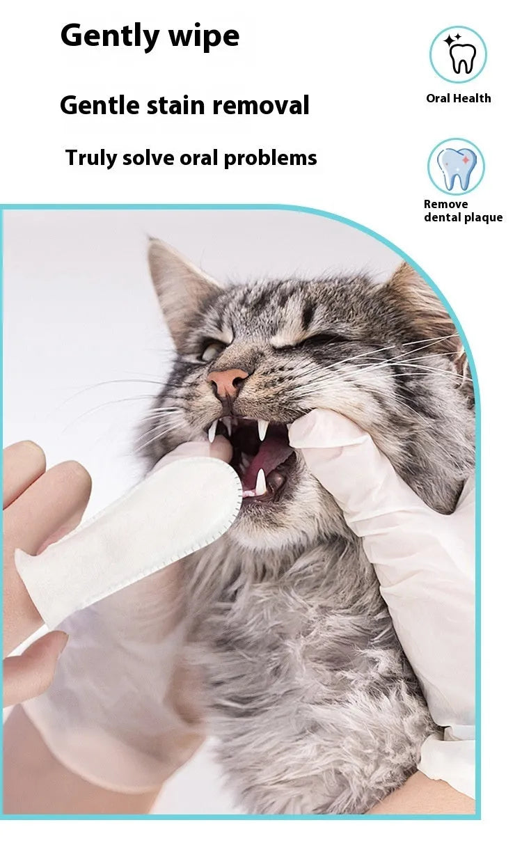 50-piece pack of pet dental finger cots for cat and dog teeth cleaning