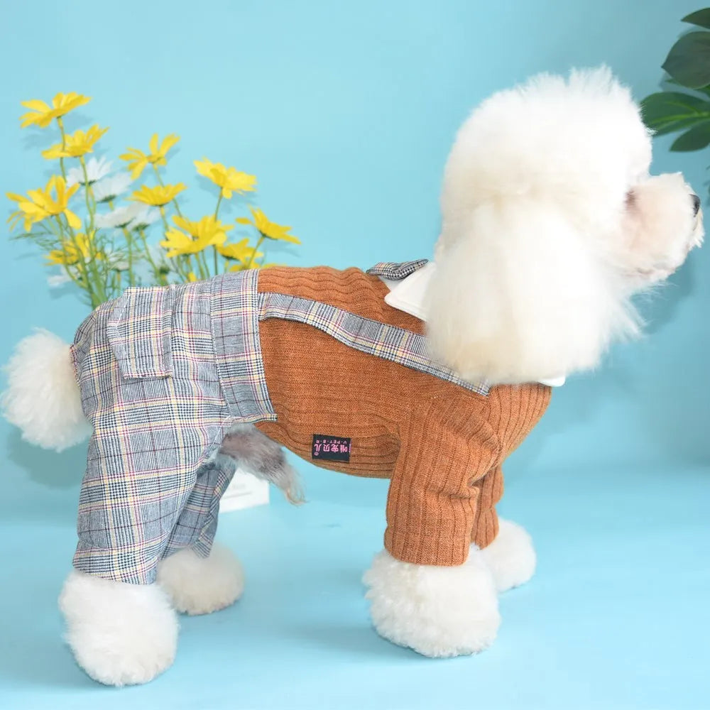 Orange cotton dog suit shirt for small dogs laid flat showing simple shirt design